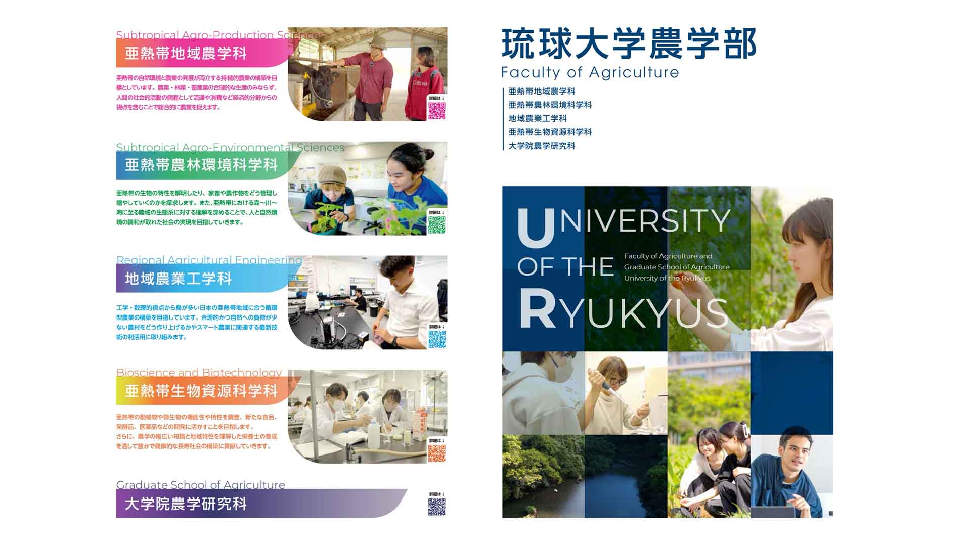 琉球大学農学部の学部紹介リーフレット制作